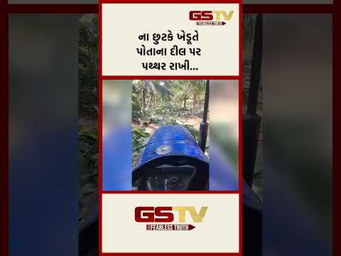 ના છુટકે ખેડૂતે પોતાના દીલ પર પથ્થર રાખી...