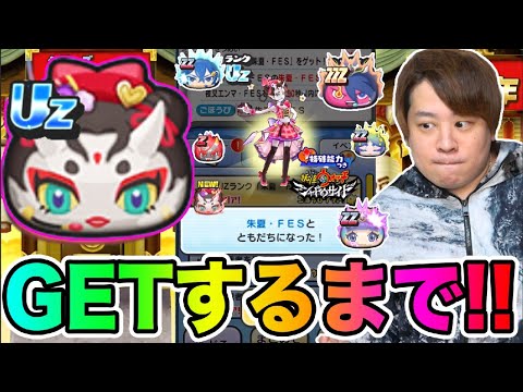 ぷにぷに「最強ランクUZ 朱夏FES!!」GETするまで終われません!!【妖怪ウォッチぷにぷに】10周年イベントYo-kai Watch part1529とーまゲーム