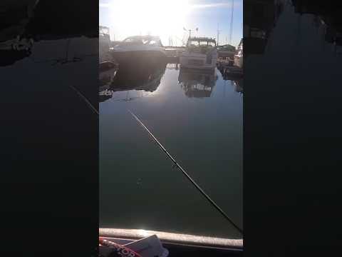 Crazy Guy throws a LEAD WEIGHT at my boat while I’m fishing LEGALLY!