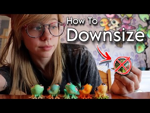 How To Downsize Your LPS Collection