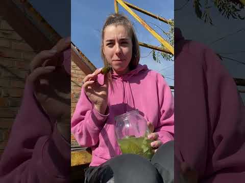 Do You Like Pickle? 3 😂 #shorts #funny #comedy #viral