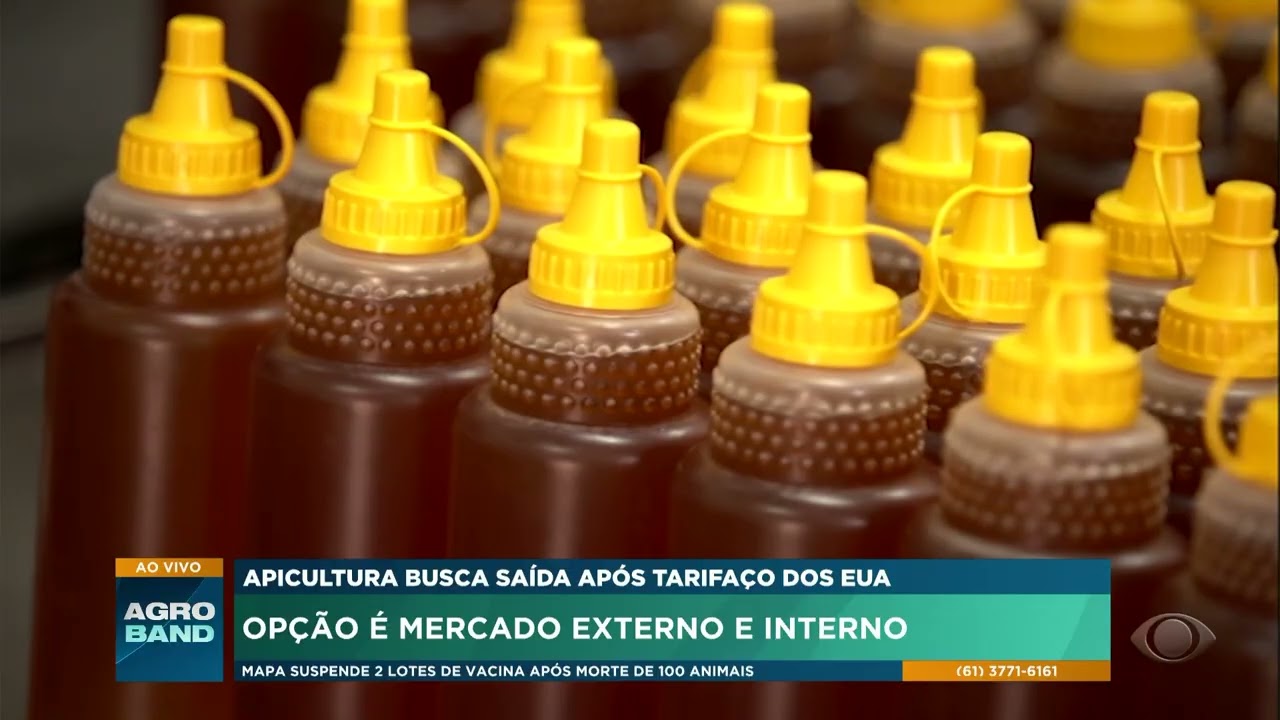 Apicultura busca saídas após tarifaço dos EUA