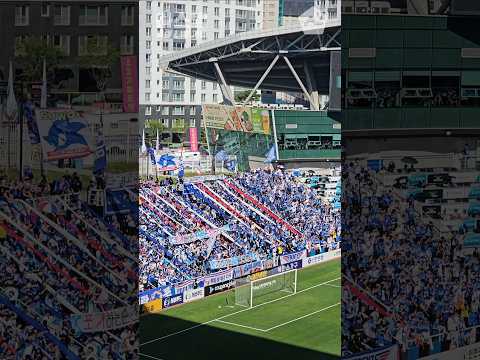 이게 2부리그 경기라고?