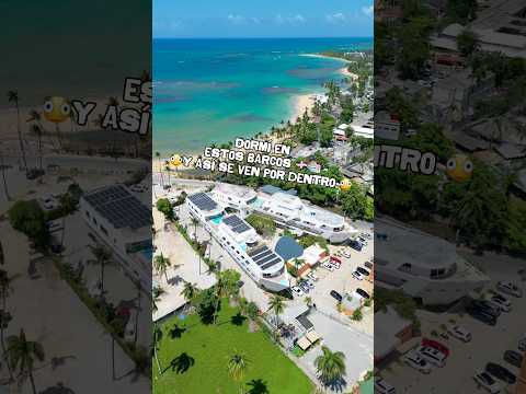 🇩🇴 No me los imaginaba así. Puerto Plaza, Las Terrenas, Samaná, República Dominicana.