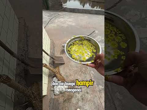Wajah Abu Jadi Basah di Siram Pemilik #shorts