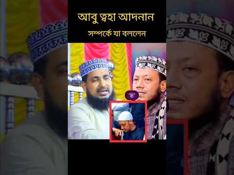 আবু ত্বহা আদনান ডিভো/র্সের সম্পর্কে যা বললেন হুজুর #mufti_amir_hamza #waz#foryou #youtubeshorts