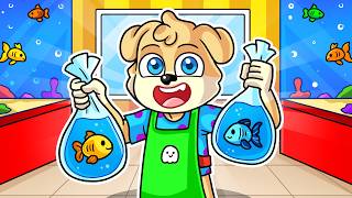 ¡ABRI LA MEJOR TIENDA de PECES!🏠🐟😎en AQUATIC STORE con SOYDANY