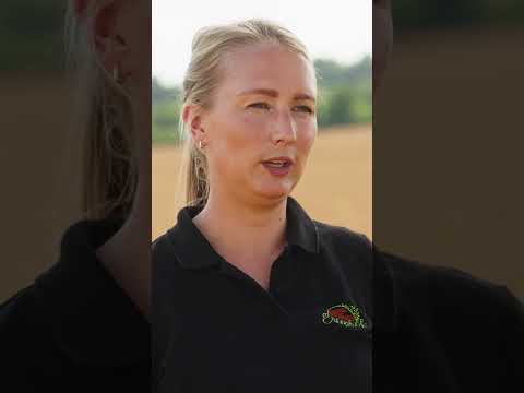 Kanntest Du diese interessanten Dinkelfakten schon?