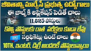 11,825 పోస్టుల బంపర్ భర్తీ | AP,TS MTS, Clerks,Assistant Government Jobs | Governmnet Jobs in telugu