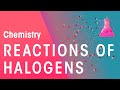 Chemical Reactions and Tests