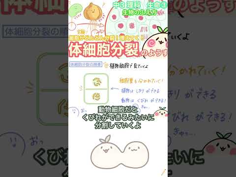 体細胞分裂！　#ぽにょん中学理科あにめ