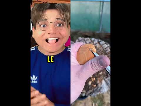 Text To Speech☕ASMR Cake Storytime🍒@alestrella
#storytime #foryou #tiktok #fyp #fouyou#pov