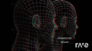 Elevated SynCode | C A L A U