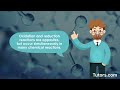 Understanding Oxidation and Reduction