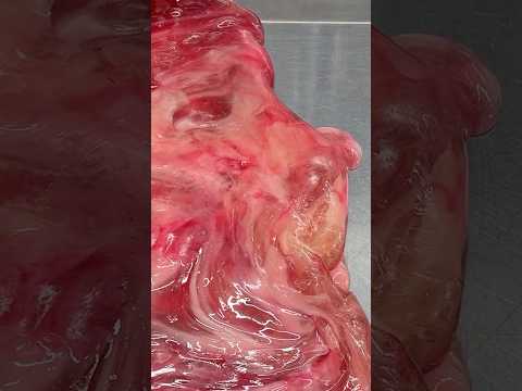 飴づくり 苺ミルク飴 candy making #製造動画 #飴 #candy