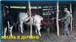видео