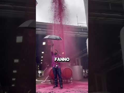 Il mistero della pioggia di vino svelato!
