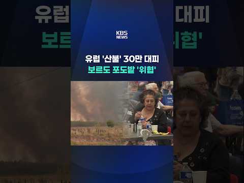 유럽 '산불' 30만여 명 대피 … 프랑스 보르도 포도밭 '위협' #shorts / KBS