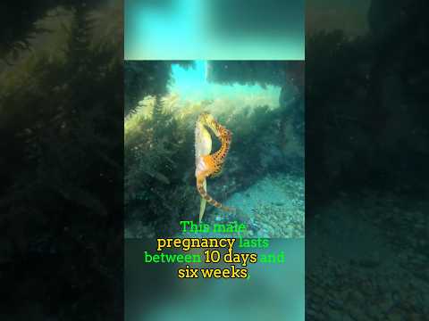 This is awesome 😲 #shorts