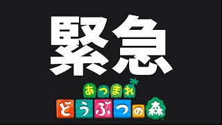 【緊急】あつ森 Switch2エディション 無料アプデ 確認