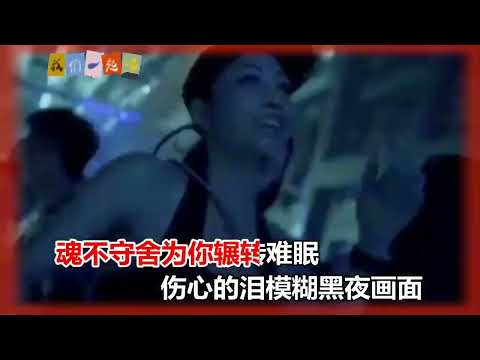 大歡  今生短暫的緣DJ版 KTV