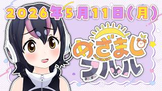 【めざましフルル⏰】今週もふるもーにんからはじめよう！！🐧🌞(2026年5月11日）【#フンボルトペンギンちゃんねる／#けもV】