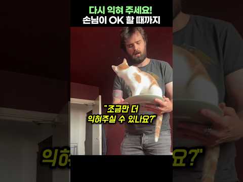 다시 익혀 주세요! 손님이 OK 할 때까지