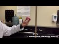Bouncy Ball Energy Experiment