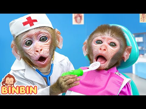 Mono Binbin Juega a Ser el M茅dico y le Ayuda a Curar su Dolor de Muelas | MONO BINBIN ESP