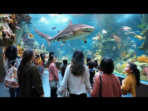 🇵🇭🦈🐧🐠 MANILA OCEAN PARK, PHILIPPINES WALKING TOUR, ULTIMATE FAMILY DAY OUT IN MANILA, 4K HDR