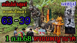 ล่าสุด! กลางเขาป่าใหญ่ตามต่อ!#เลขธูป 39/36/63 #หงอนพญานาค#แม่ตานี#แม่เกสรวัลลี ส่องด่วน! 1ก.ย.68