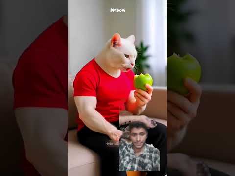 please subscribe bhai 🙏🏻     #funny #facts #animals #4k