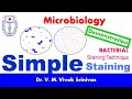 Bacterial Morphology and Staining Techniques
