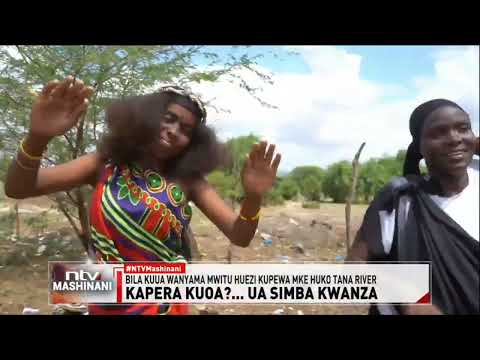 Tana River: Vijana wa jamii ya Watta wahitajika kuua simba au chui ile kupata mke
