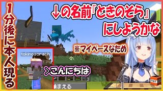 【ホロライブ切り抜き】マイペースなアレイに大先輩の名前を…その後ゴミを押し付けて立ち去るぺこら【兎田ぺこら/hololive】