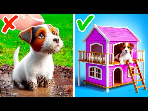 Construí una Casa Miniatura para un Cachorro Callejero 🏡💖 Secretos para Dueños de Mascotas
