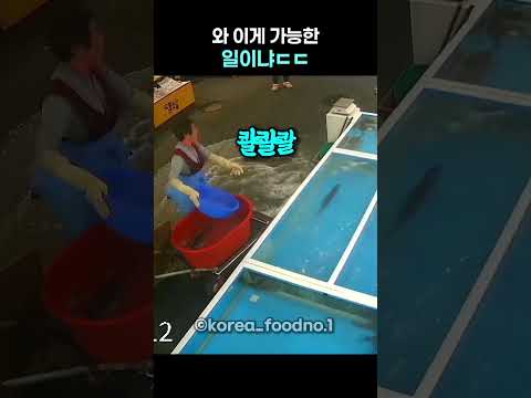 와 <strong>이게</strong> 가능한 일이냐ㄷㄷ