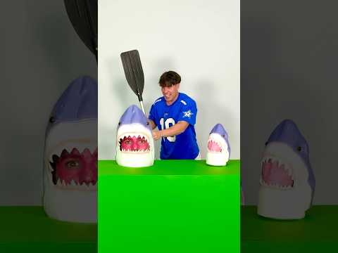 ¿cuál es el tiburón impostor?🕵️‍♂️🦈