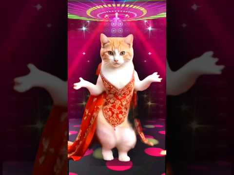 Cute Cat & Puppy #dogdance