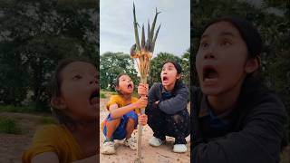 SMART Ideas: Easy bushcraft and useful with good tips #experiment #bushcraft #moreideas #tricks