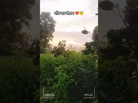 गाँव का मौसम 😇❤️🌏💯#viral #song #youtubeshorts #youtube #love #nature #village #feedshorts #feelings