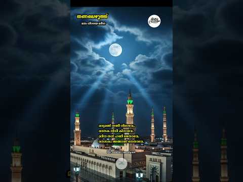 തണലെഴുത്ത് - 246 മനം നിറയെ മദീനാ | #muthnabiﷺ #mrs_rak #madina #foryou #തണലെഴുത്ത് #madhsong