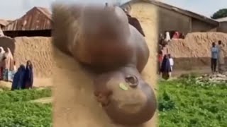 Karshan Shegu Yazo Kowa Ya Huta Mutun 10 Da Suka Hana Mutane Zama Lafiya Anyi Nasar Ka...