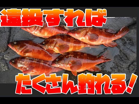 thumbnail_JHvNj0TqzIo
