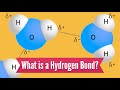 Hydrogen Bonds in Biological Molecules