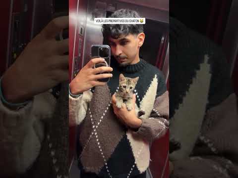 Les chatons grandissent !