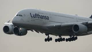 LUFTHANSA A380 LANDUNG Flughafen München #lufthansa #airbusa380 #aviation #airport #planespotting