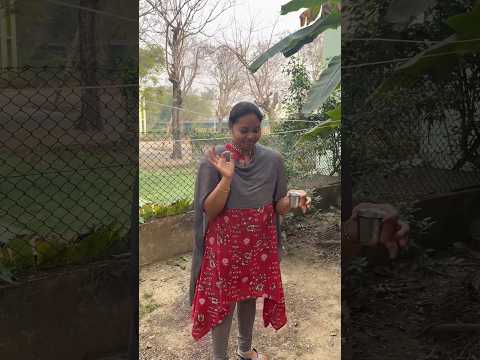 అరటి చెట్టులో ఊరిన నీళ్లు మీరు ఎప్పుడైనా తాగారా..? 🙋‍♀️😊 #shorts