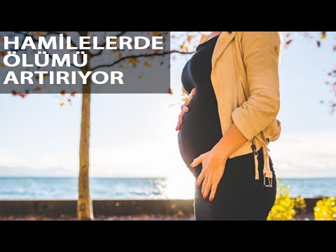 Prof. Dr. Mehmet Ceyhan: Gebeler İlk 3 Aydan Sonra Aşılanmalı