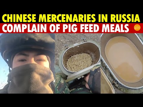 Russia Feeds Chinese Mercenaries Pig Feed? Complaints of Poor Quality Meals, Akin to Swine Food